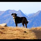 "Wanderwetter...in den Bergen"