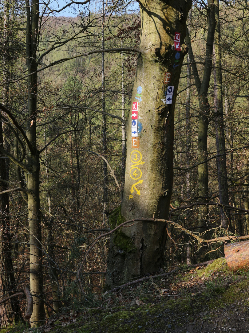 Wanderzeichen (2019_04_15_EOS 100D_4418_ji)