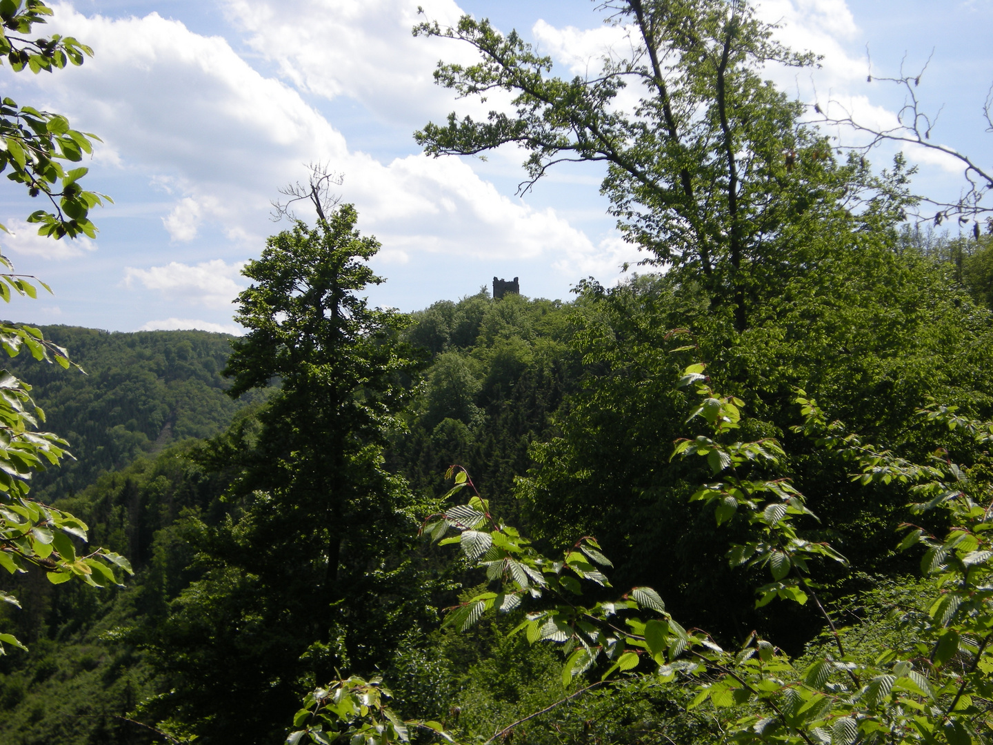 Wanderziel: Ruine Rheinberg im Wispertal