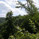 Wanderziel: Ruine Rheinberg im Wispertal