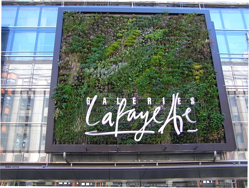 Wandgarten in Berlin Friedrichstraße