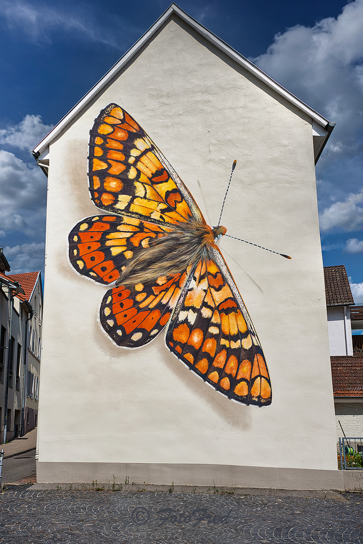 Wandmalerei Uferstraße am Brückenkopf