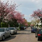 Wandsbeker Bilderbogen Eichtalstrasse