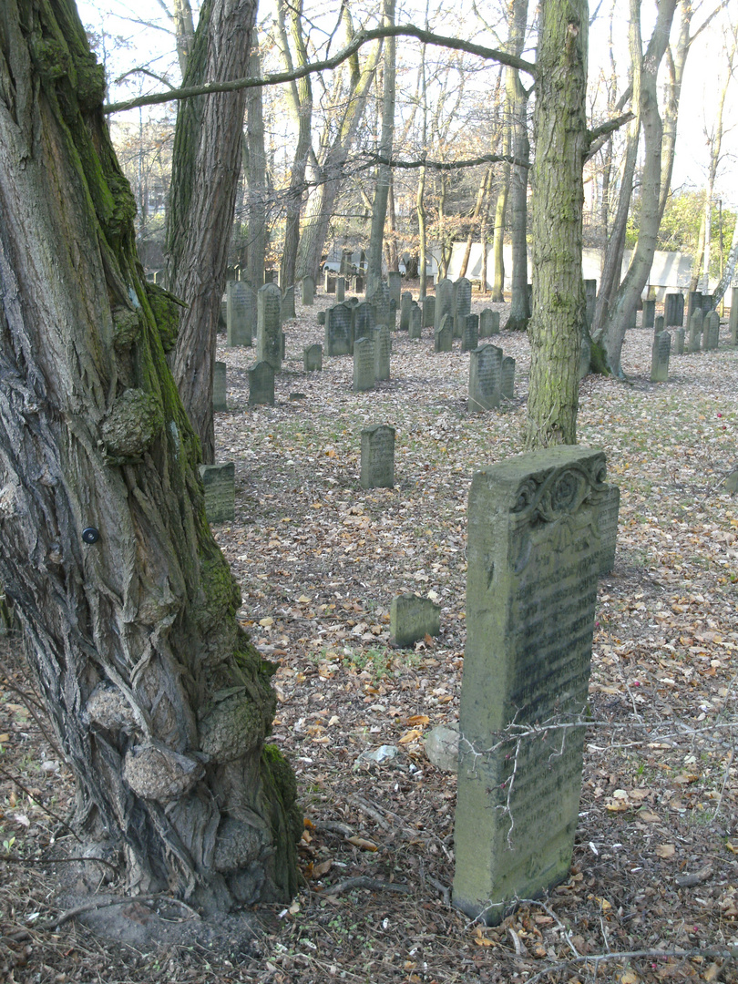 Wandsbeks jüdischer Friedhof