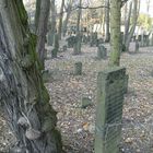 Wandsbeks jüdischer Friedhof