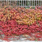 Wandschmuck im Herbst