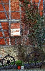Wandstudie (2)