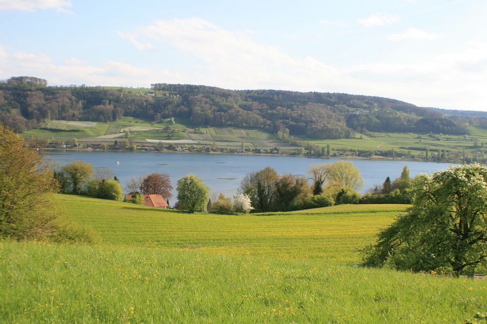 Wangen am Bodensee