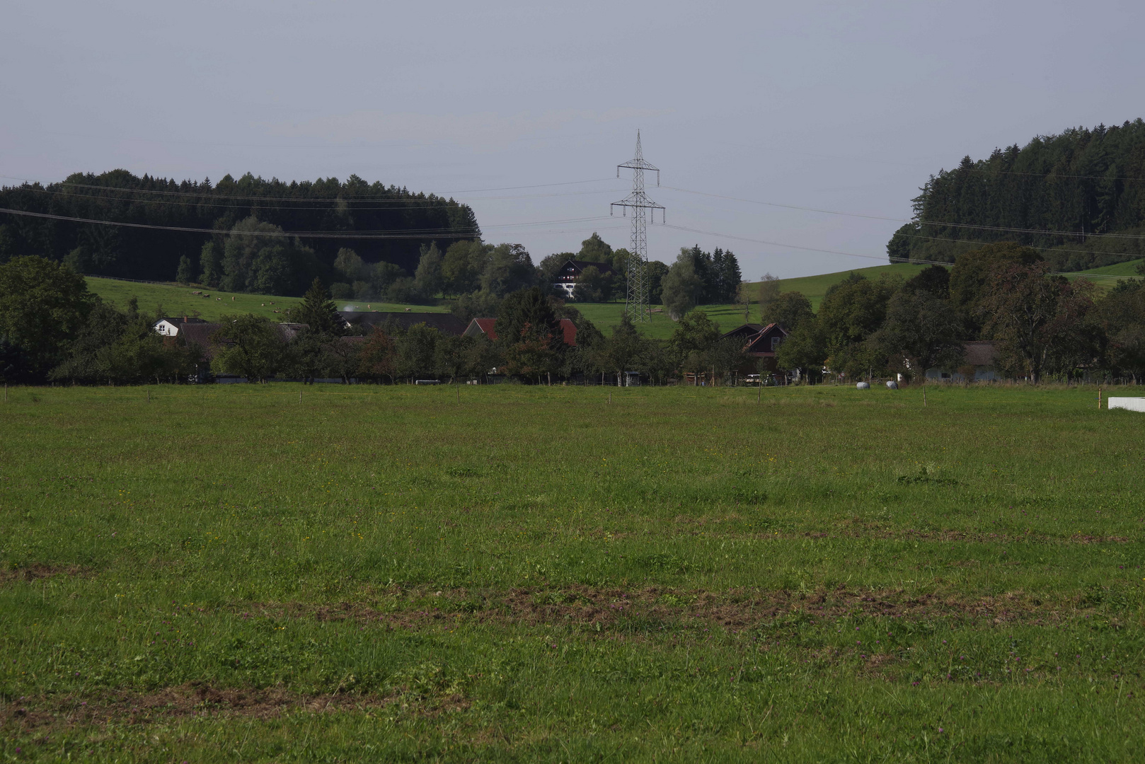 ...Wangen im Allgäu