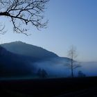 Wangental im Nebel