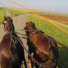 wangerland II