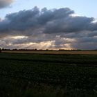 WANGERLAND sonne WOLKEN 6980 ALTFUNNIX 100715