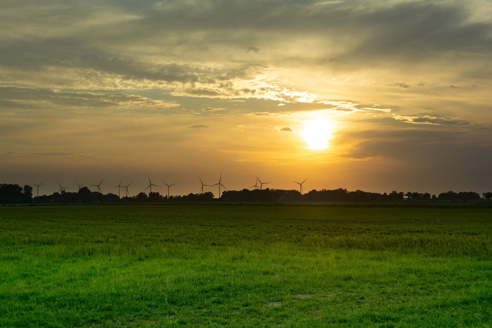 Wangerland#9