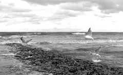 Wangerooge 2011-5