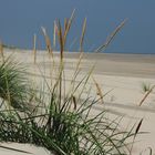 Wangerooge 2011