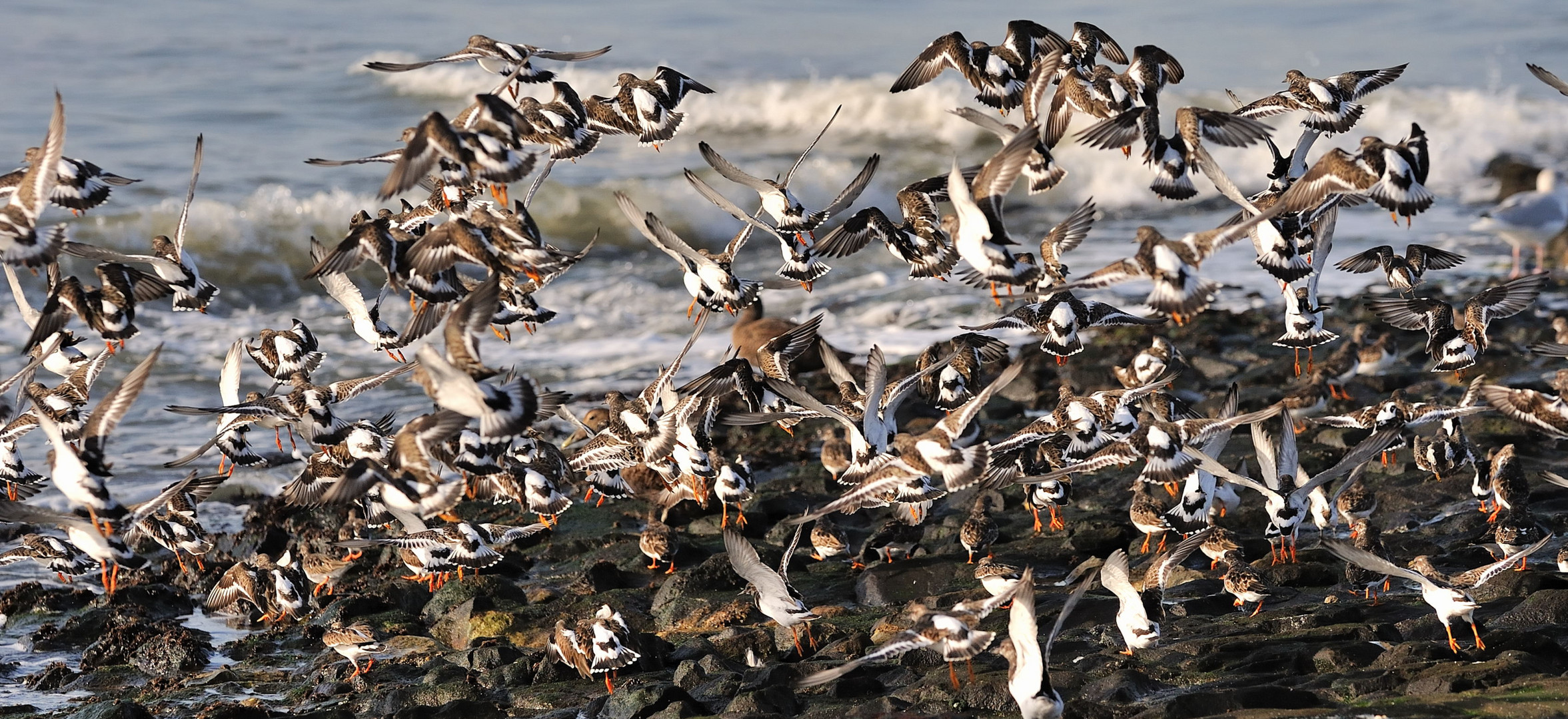 Wangerooge 2012