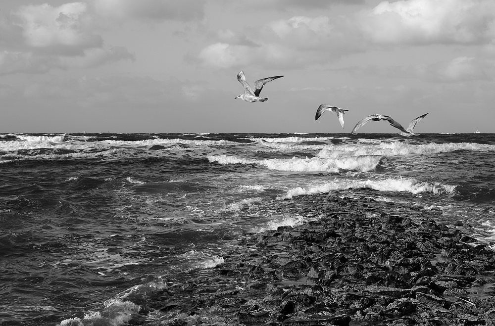 Wangerooge 2013-7