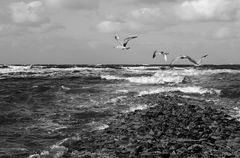 Wangerooge 2013-7