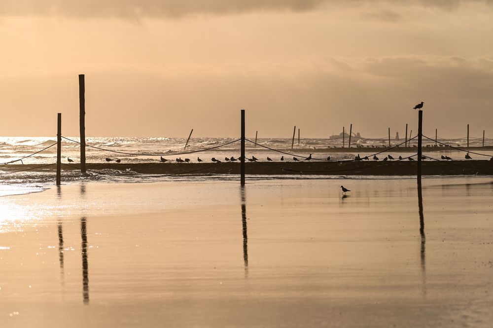 Wangerooge 2021-03