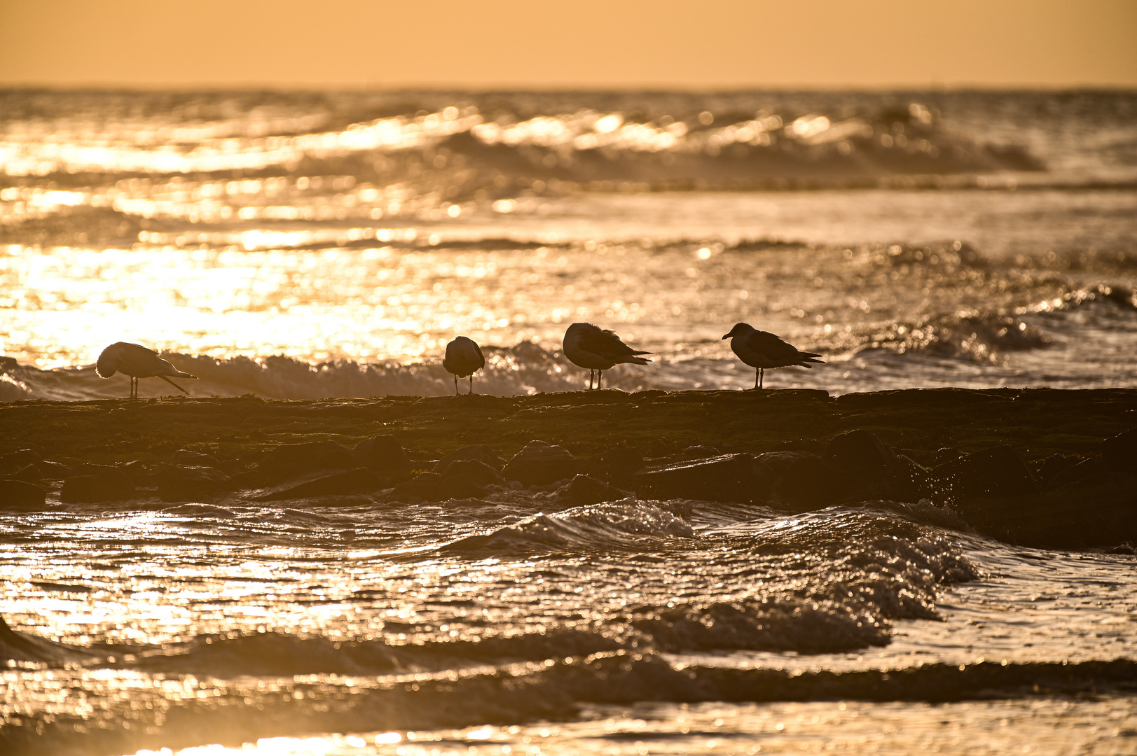 Wangerooge 2021-04