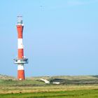 Wangerooge 3