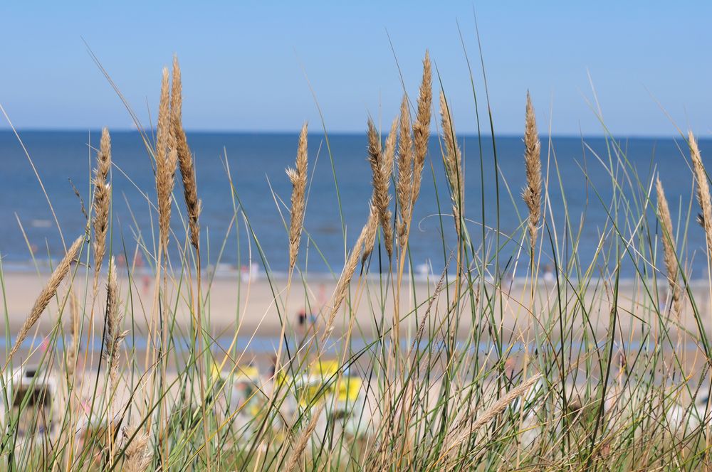 Wangerooge...