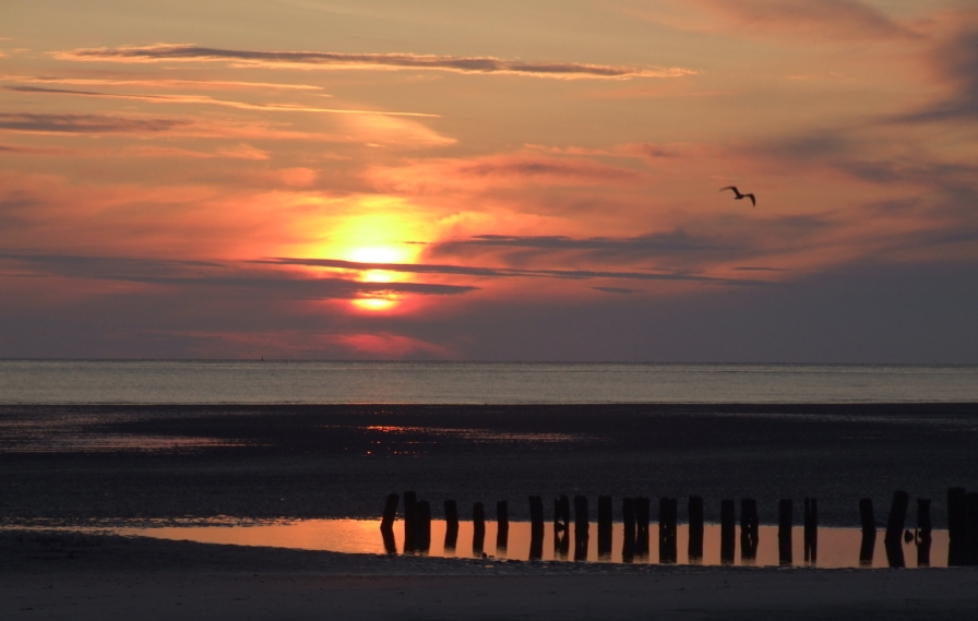 Wangerooge