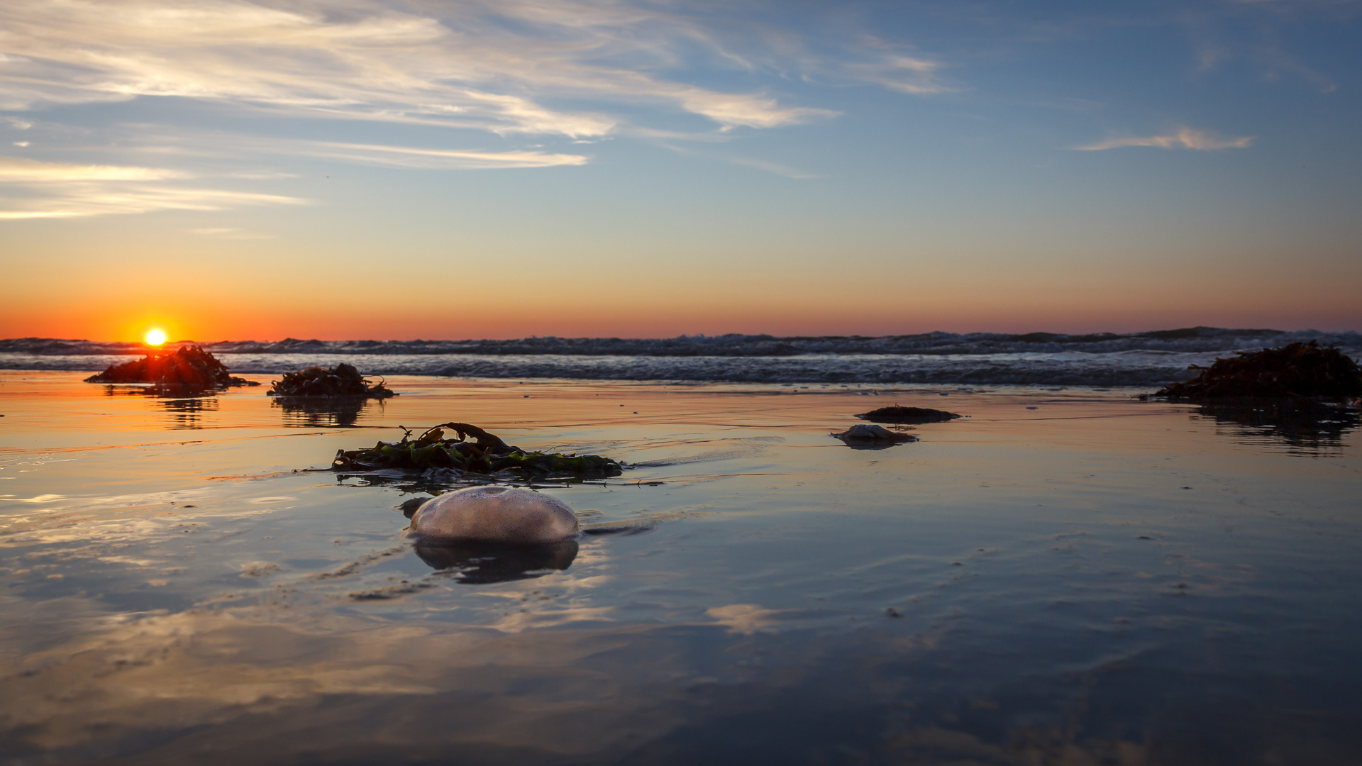 Wangerooge