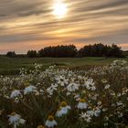 Wangerooge