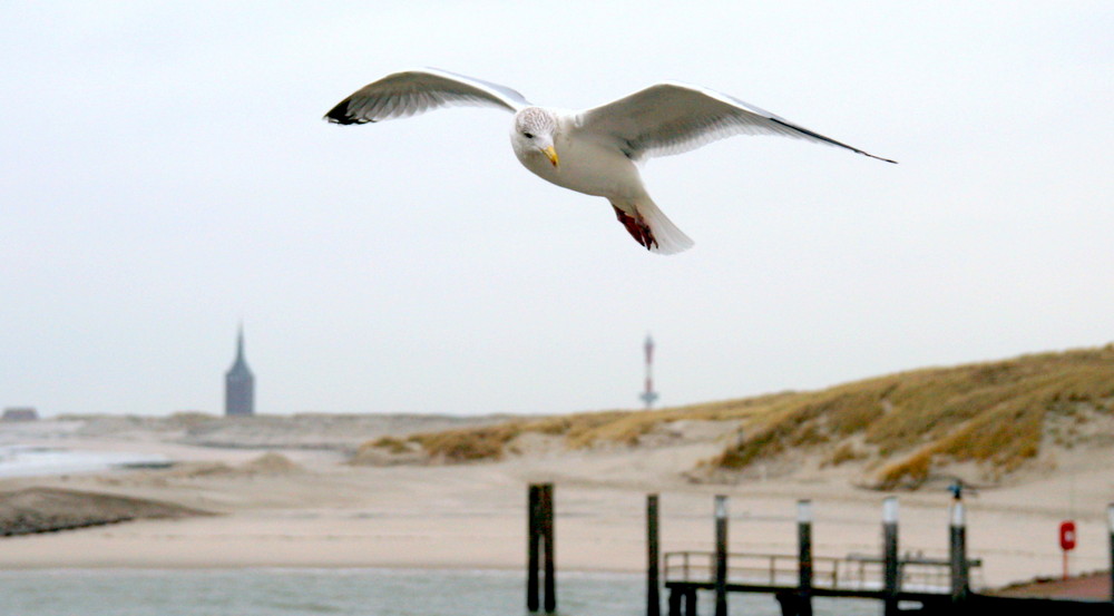 Wangerooge