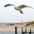 Wangerooge