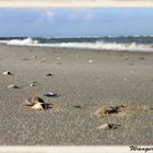 Wangerooge