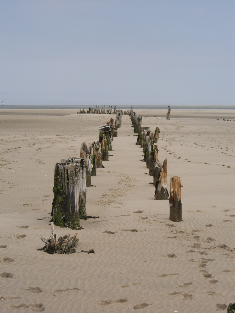 Wangerooge - der alte Hafen am Ostende