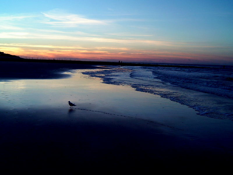 Wangerooge