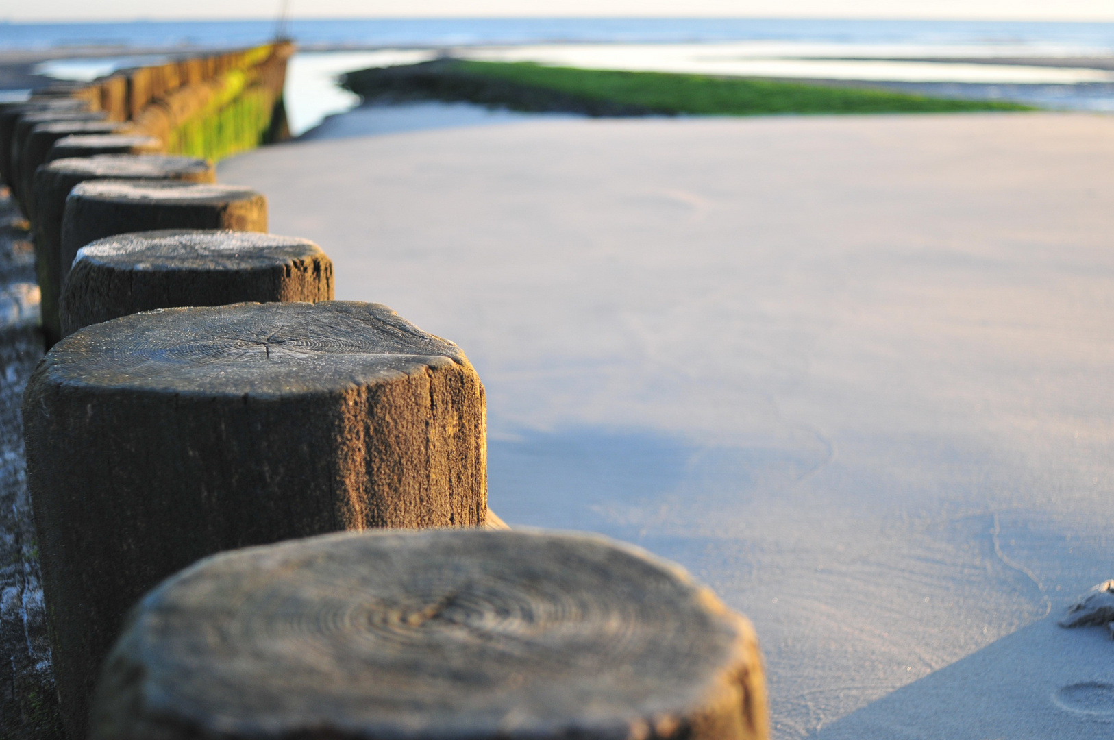 Wangerooge (gekippt)