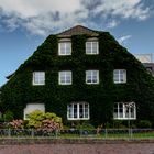 Wangerooge - "grünes" Haus