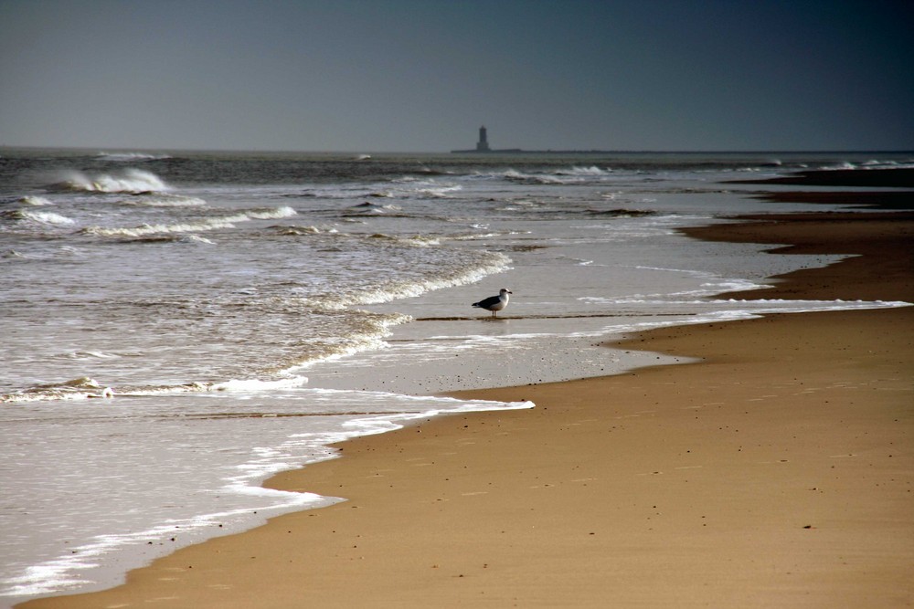 Wangerooge III