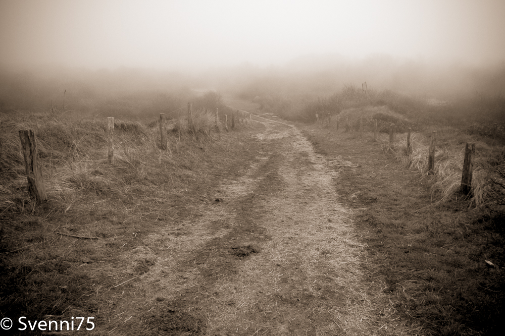 Wangerooge im Nebel des Grauens