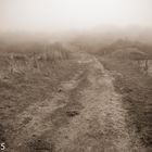 Wangerooge im Nebel des Grauens