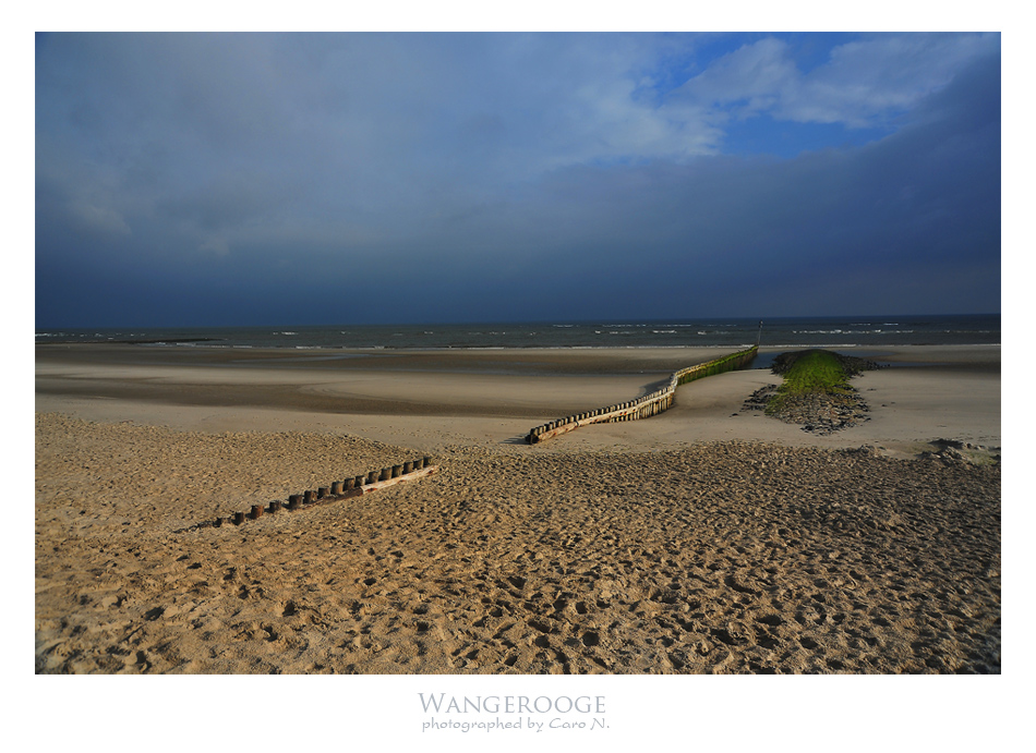 Wangerooge, Nordsee, Nationalpark "Niedersächsisches Wattenmeer" by Caro N. 