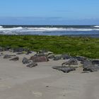 Wangerooge Nordstrand