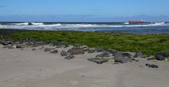 Wangerooge Nordstrand