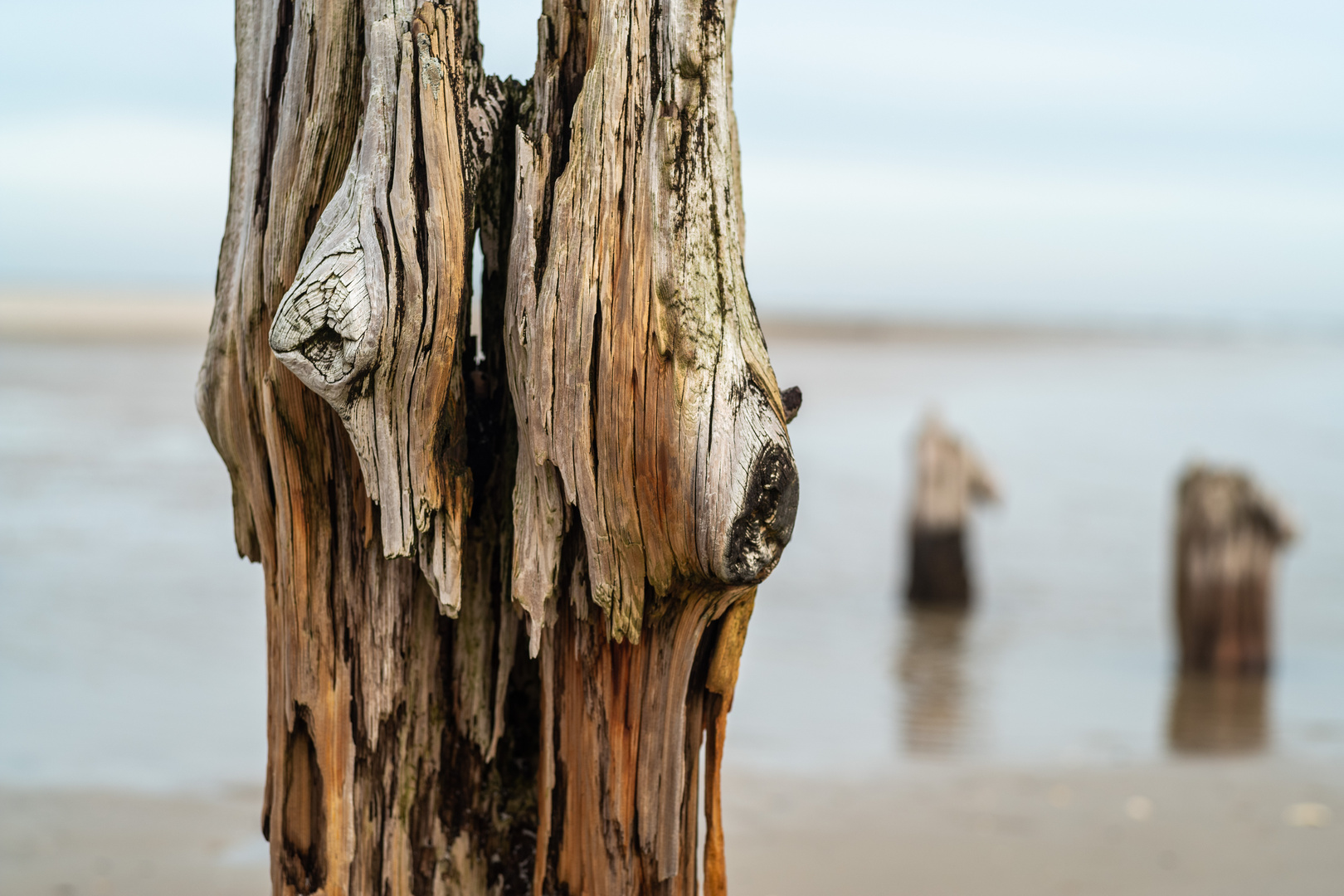 Wangerooge - Reste vom Ostanleger