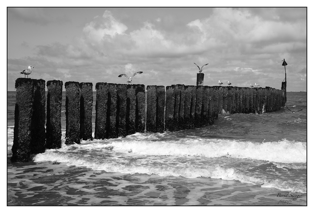 Wangerooge Sommer 2014-01