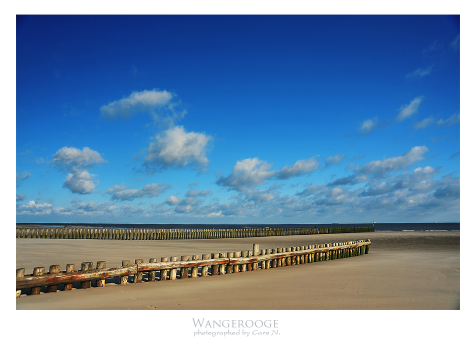 Wangerooge V