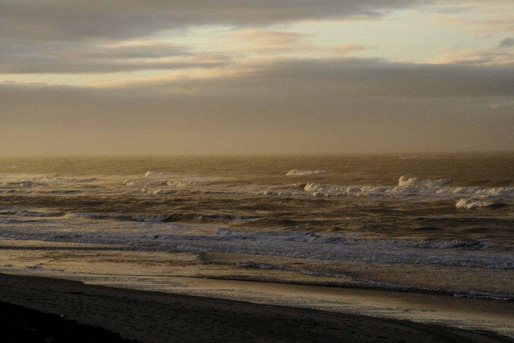 Wangerooge VIII