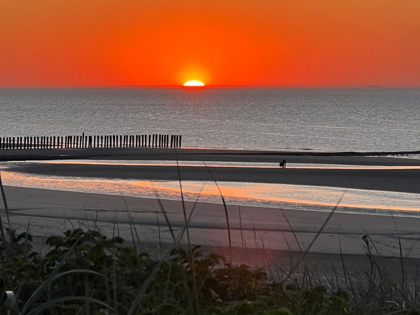 Wangerooge von Dieter