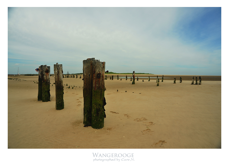 Wangerooge XI