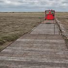 Wangerooger "Hochgeschwindigkeitszug"