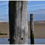 Wangerooges Osten